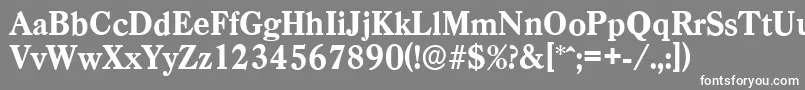 フォントCasadserialXboldRegular – 灰色の背景に白い文字