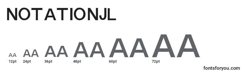 Размеры шрифта NotationJl