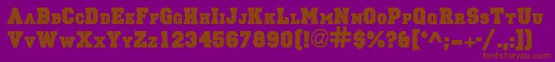 PrincipalsolidRegularDb Font – Brown Fonts on Purple Background