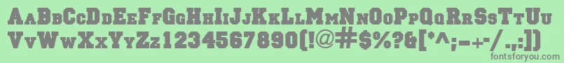 PrincipalsolidRegularDb Font – Gray Fonts on Green Background