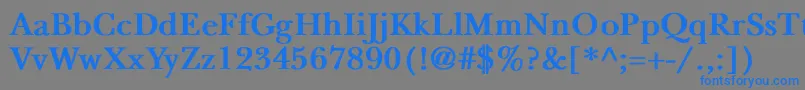 フォントNewbaskervilleBold – 灰色の背景に青い文字