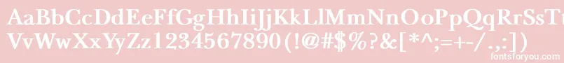 フォントNewbaskervilleBold – ピンクの背景に白い文字