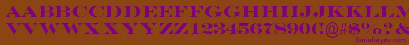 EngraversMtBold Font – Purple Fonts on Brown Background
