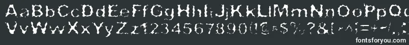 SurfPunxLight Font – White Fonts