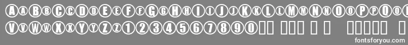 TmSprintVelocheNormal Font – White Fonts on Gray Background