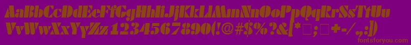 CadoDisplaySsiItalic Font – Brown Fonts on Purple Background