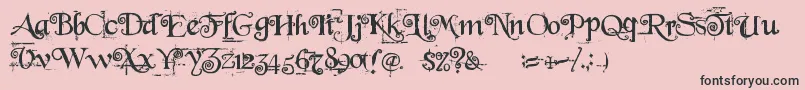BeyondWonderland Font – Black Fonts on Pink Background