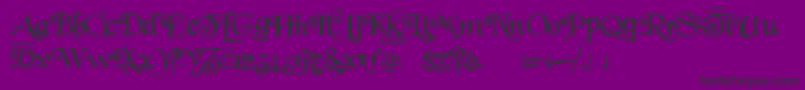 BeyondWonderland Font – Black Fonts on Purple Background