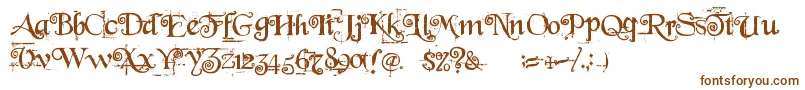 BeyondWonderland Font – Brown Fonts on White Background