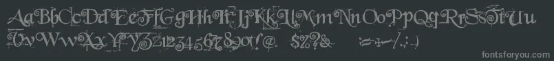 BeyondWonderland Font – Gray Fonts on Black Background