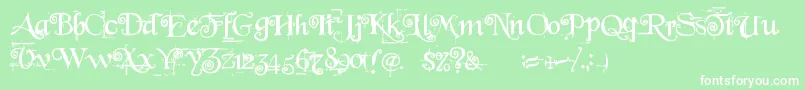 BeyondWonderland Font – White Fonts on Green Background