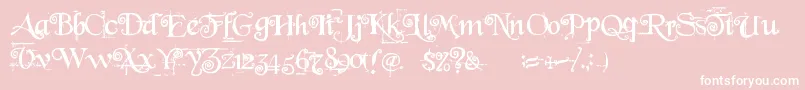 BeyondWonderland Font – White Fonts on Pink Background