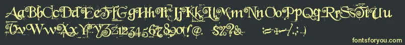 BeyondWonderland Font – Yellow Fonts on Black Background