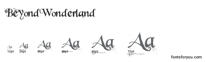 BeyondWonderland Font Sizes