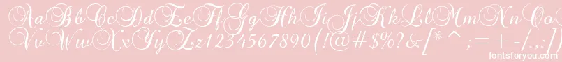 GeBasaltScriptNormal Font – White Fonts on Pink Background