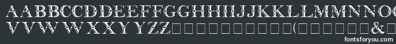 CarnivaleDisplayCapsSsi Font – White Fonts on Black Background