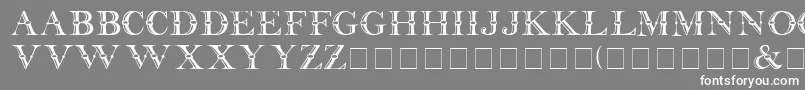 CarnivaleDisplayCapsSsi Font – White Fonts on Gray Background