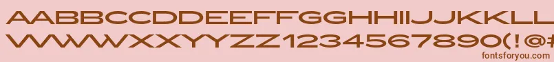 ZeppelinOt Font – Brown Fonts on Pink Background