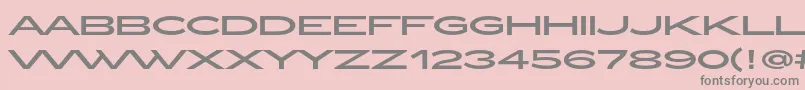 ZeppelinOt Font – Gray Fonts on Pink Background