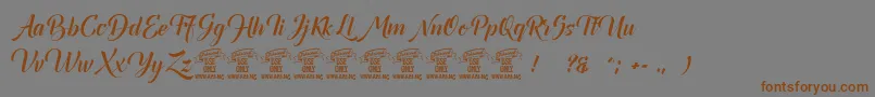 Canelabarkboldpersonal Font – Brown Fonts on Gray Background