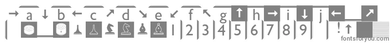 フォントSpslchess – 白い背景に灰色の文字