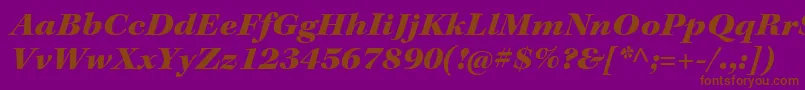 KeplerstdBlackextitsubh Font – Brown Fonts on Purple Background