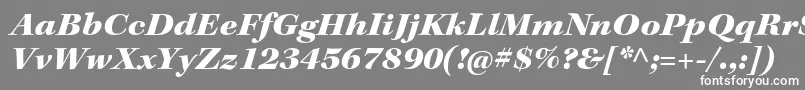 KeplerstdBlackextitsubh Font – White Fonts on Gray Background