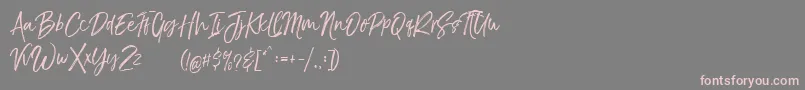 TheBraggestDemo Font – Pink Fonts on Gray Background