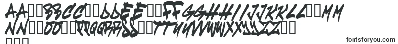 Cruze Font – Polish Fonts