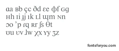 Шрифт Newtonphoneticc
