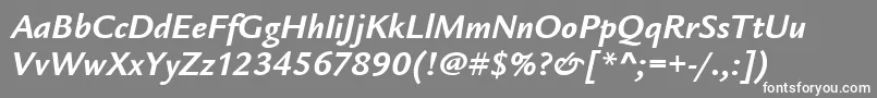 LegacySansItcBoldItalic Font – White Fonts on Gray Background