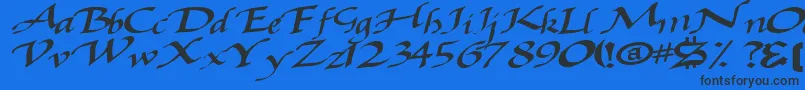 Baggagemastertext79Bold Font – Black Fonts on Blue Background