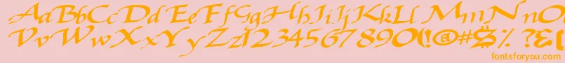 Baggagemastertext79Bold Font – Orange Fonts on Pink Background