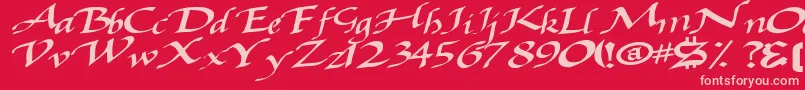 Baggagemastertext79Bold Font – Pink Fonts on Red Background