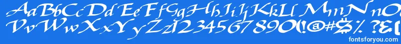 Baggagemastertext79Bold-Schriftart – Weiße Schriften auf blauem Hintergrund