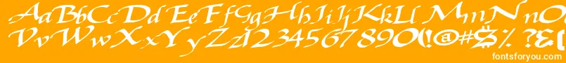 Baggagemastertext79Bold Font – White Fonts on Orange Background