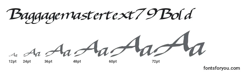 Размеры шрифта Baggagemastertext79Bold