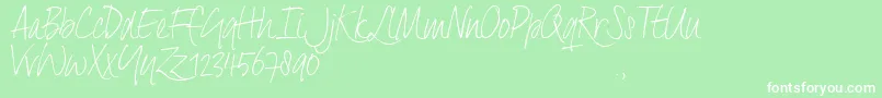 DxtaTrial Font – White Fonts on Green Background
