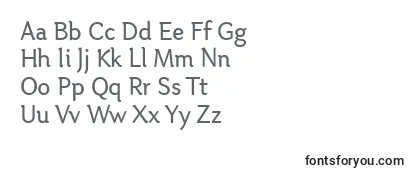 OtariRegular Font