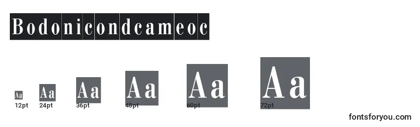 Bodonicondcameoc Font Sizes