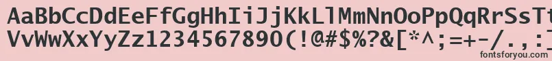 フォントLucidaSansTypewriterBold – ピンクの背景に黒い文字