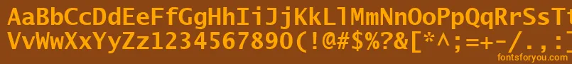 フォントLucidaSansTypewriterBold – オレンジ色の文字が茶色の背景にあります。