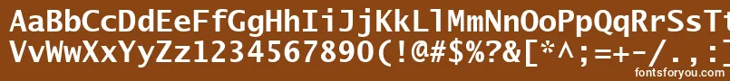 フォントLucidaSansTypewriterBold – 茶色の背景に白い文字