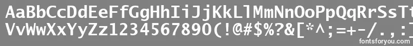 フォントLucidaSansTypewriterBold – 灰色の背景に白い文字