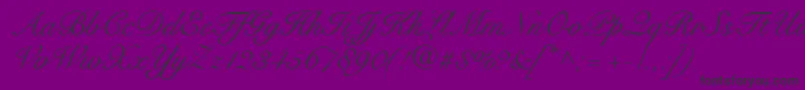 fuente SnellRoundhandScript – Fuentes Negras Sobre Fondo Morado