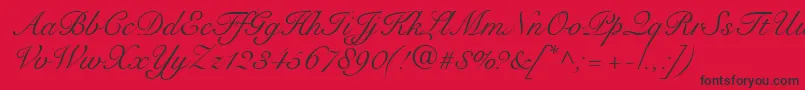 SnellRoundhandScript Font – Black Fonts on Red Background