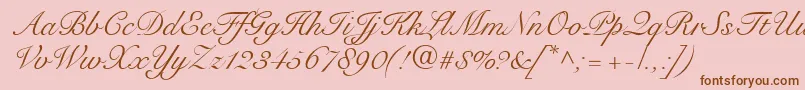 fuente SnellRoundhandScript – Fuentes Marrones Sobre Fondo Rosa