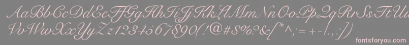 SnellRoundhandScript-fontti – vaaleanpunaiset fontit harmaalla taustalla