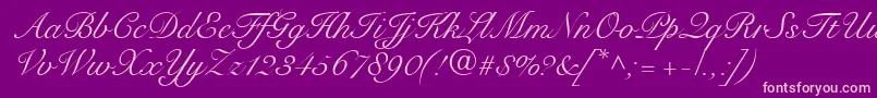 SnellRoundhandScript Font – Pink Fonts on Purple Background