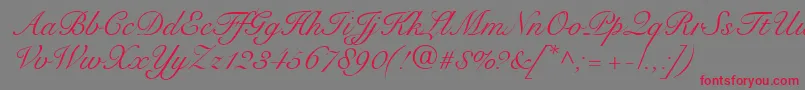 フォントSnellRoundhandScript – 赤い文字の灰色の背景